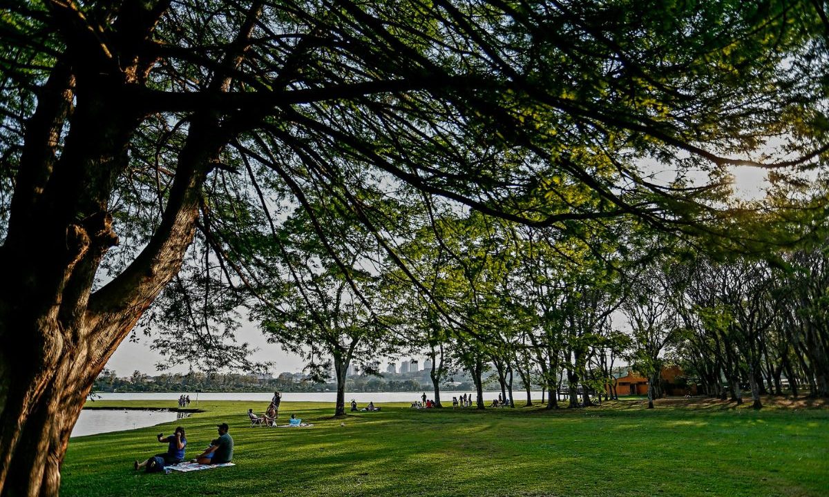 foto de uma árvore e pessoas sentadas na grama de um parque para ilustrar o tempo estável em curitiba