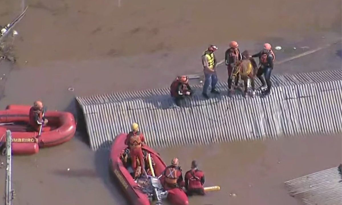 Na imagem aparecem 8 homens, do Corpo de Bombeiros e voluntários. Quatro deles em cima do telhado, junto com o cavalo, de cor caramelo e 4 divididos entre botes, após a severa enchente que atingiu o Rio Grande do Sul em maio de 2024 em imagem que viralizou nas redes sociais.