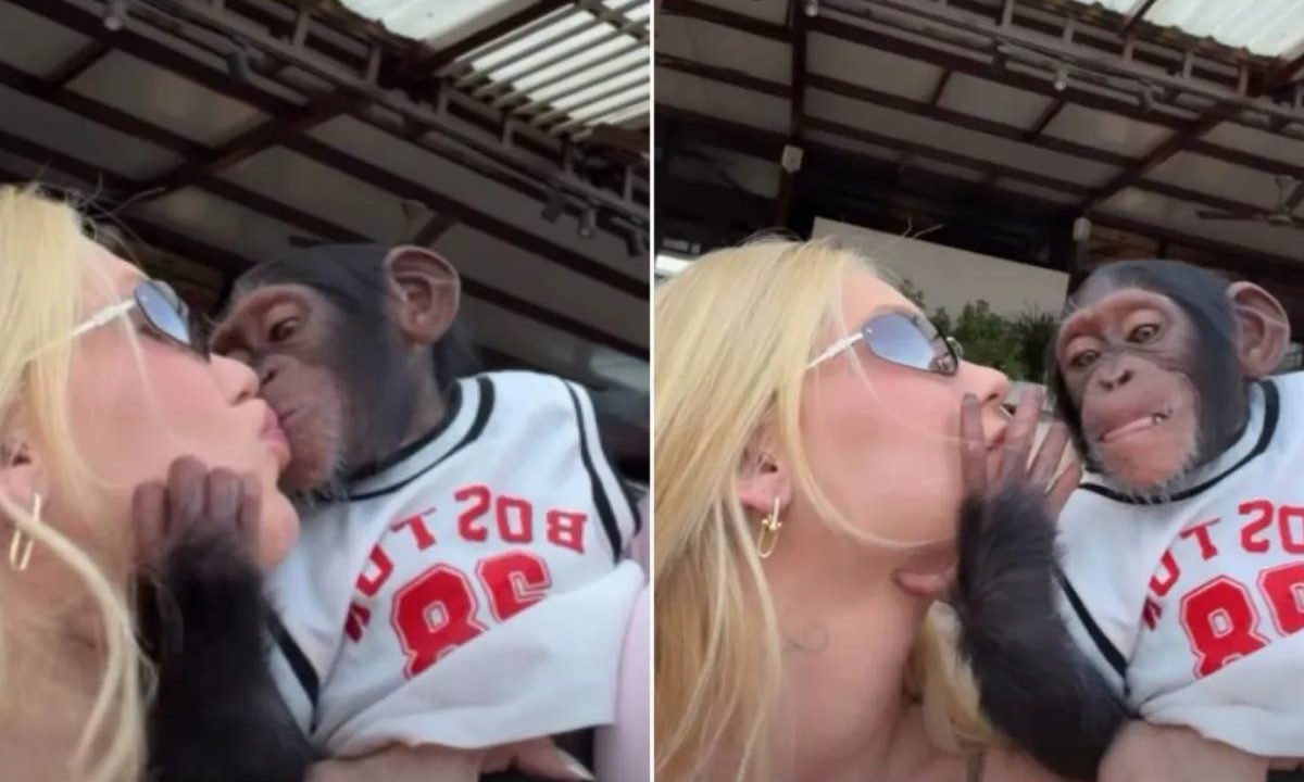 Vírginia beijando macaco. Imagem ilustrativa para matéria: “Que pegada foi essa?”: Virginia é criticada após vídeo com macaco gerar acusações de indireta racista contra Vinicius Jr.