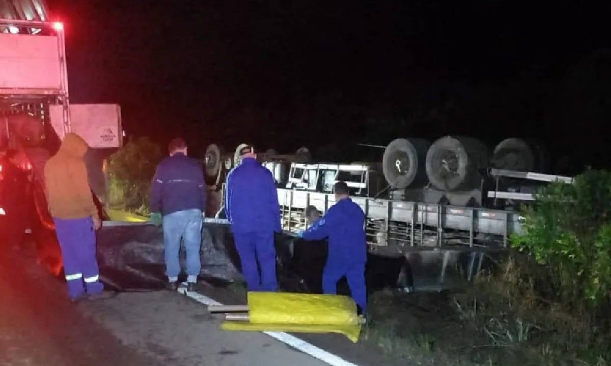 Foto mostra caminhão carregado com porcos tombado