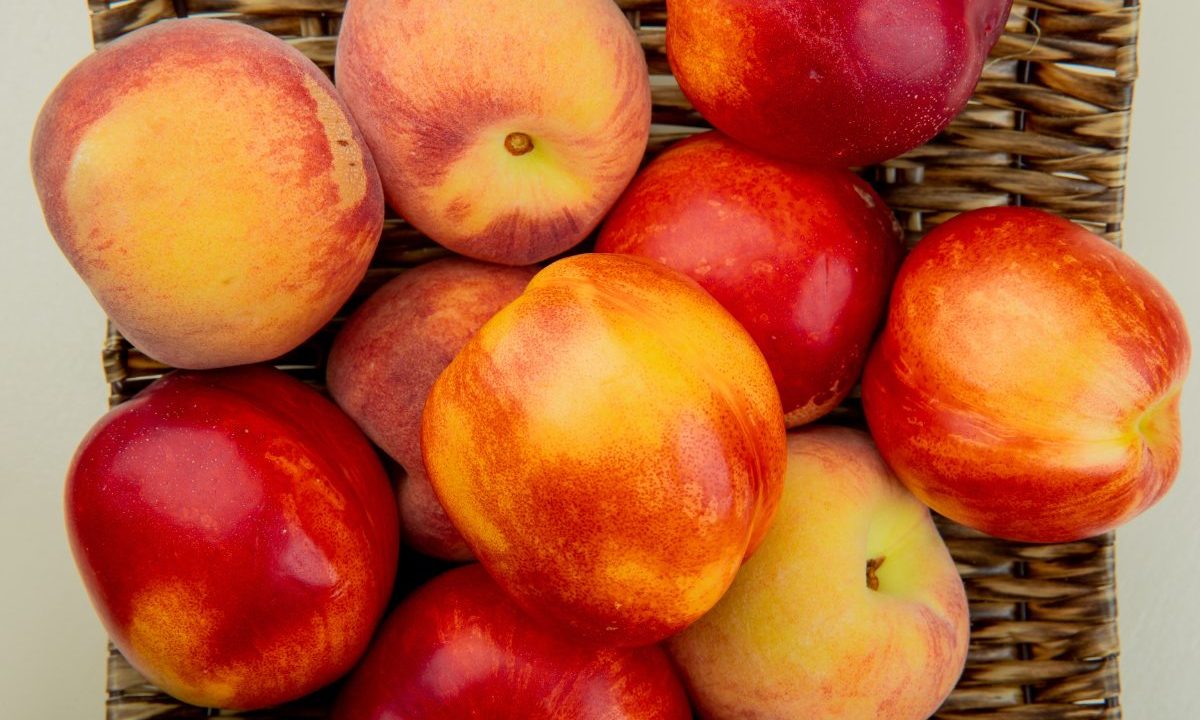 Cesta com nectarinas e pêssegos em tons avermelhados e alaranjados dispostos lado a lado.