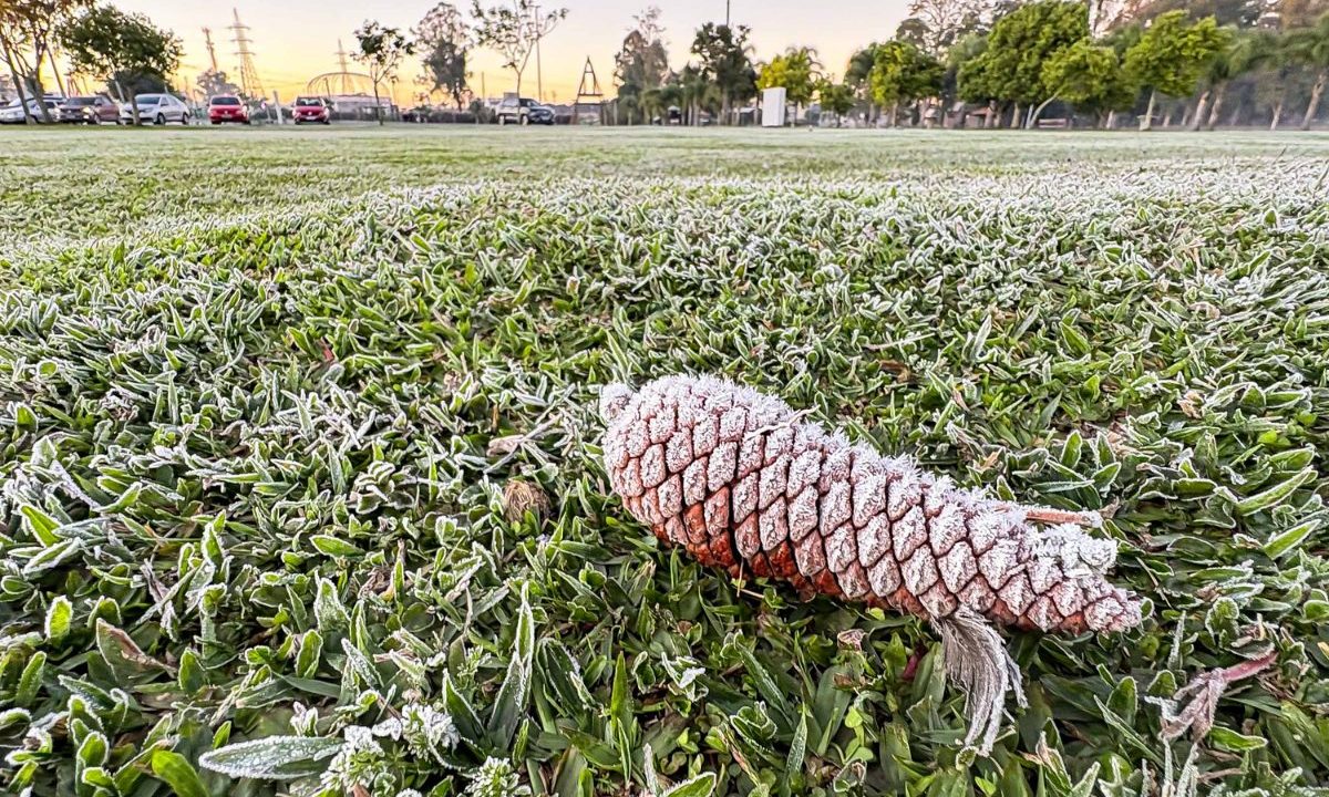 Geada cobre gramado durante amanhecer frio em área aberta no Paraná.