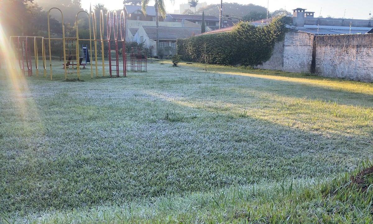 foto da geada durante frio intenso em curitiba