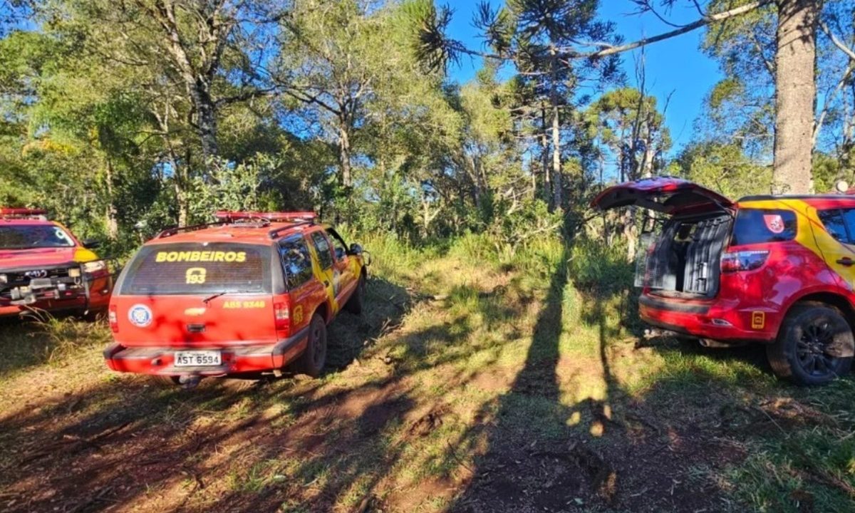 Foto mostra viaturas do Corpo de Bombeiros durante buscas por idoso que desapareceu ao sair de casa para colher pinhão. Vítima foi encontrada morta.