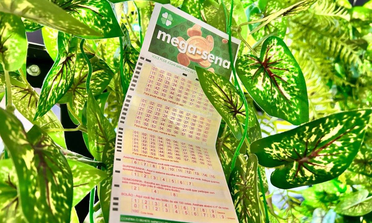 Volante da Mega-Sena 3007 em mato