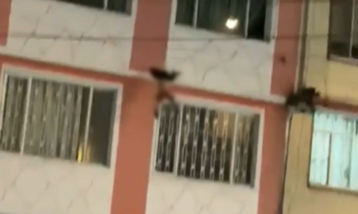 menino caindo do quarto andar na Colômbia