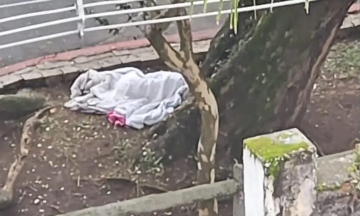 Foto mostra mulher desaparecida confundida com cadáver deitada e coberta por um pano branco ao lado de uma árvore no Centro de Curitiba