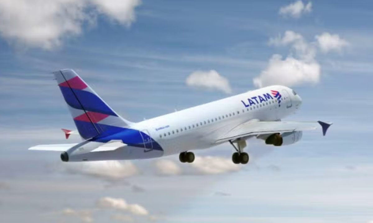 Foto do avião que transportou a mico-leão-de-cara-dourada para Curitiba