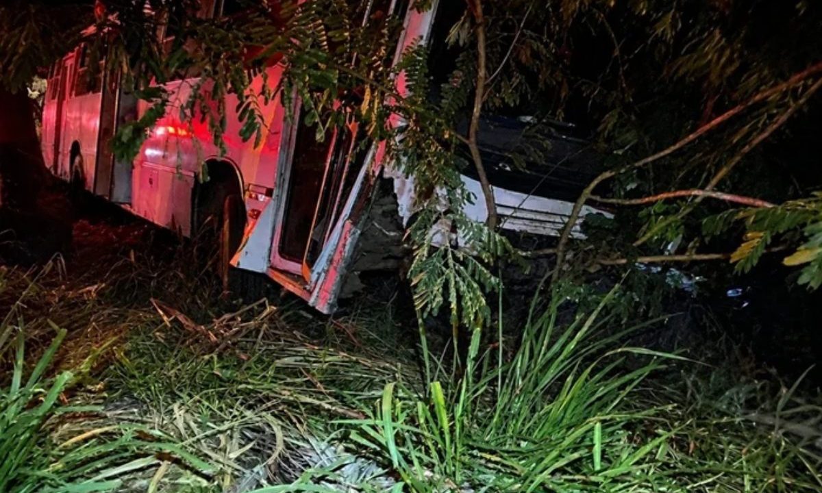 Na imagem ônibus, após capotar, todo amassado, em uma área de mata, fora da pista, escorado em uma árvore, durante a madrugada