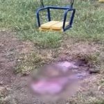 Imagem do parque onde pai morreu enquanto brincava com as filhas.