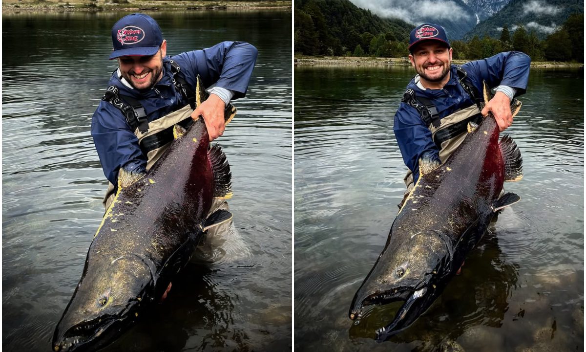 Colagem de duas fotos do pescador Alexandre Dick com o maior salmão do mundo.