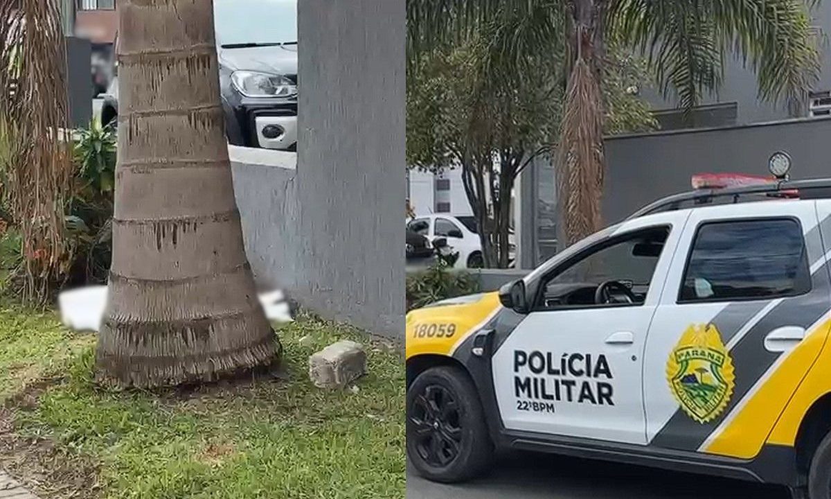 Foto de uma árvore e uma viatura da Polícia Militar no local onde possível feto foi encontrado por moradores em Colombo.