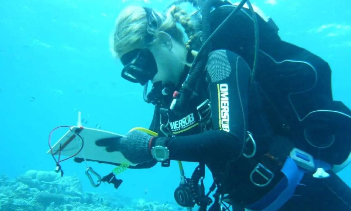 No registro aparece uma mulher realizando um mergulho, cercada de corais e realizando uma espécie de anotação no fundo do mar.