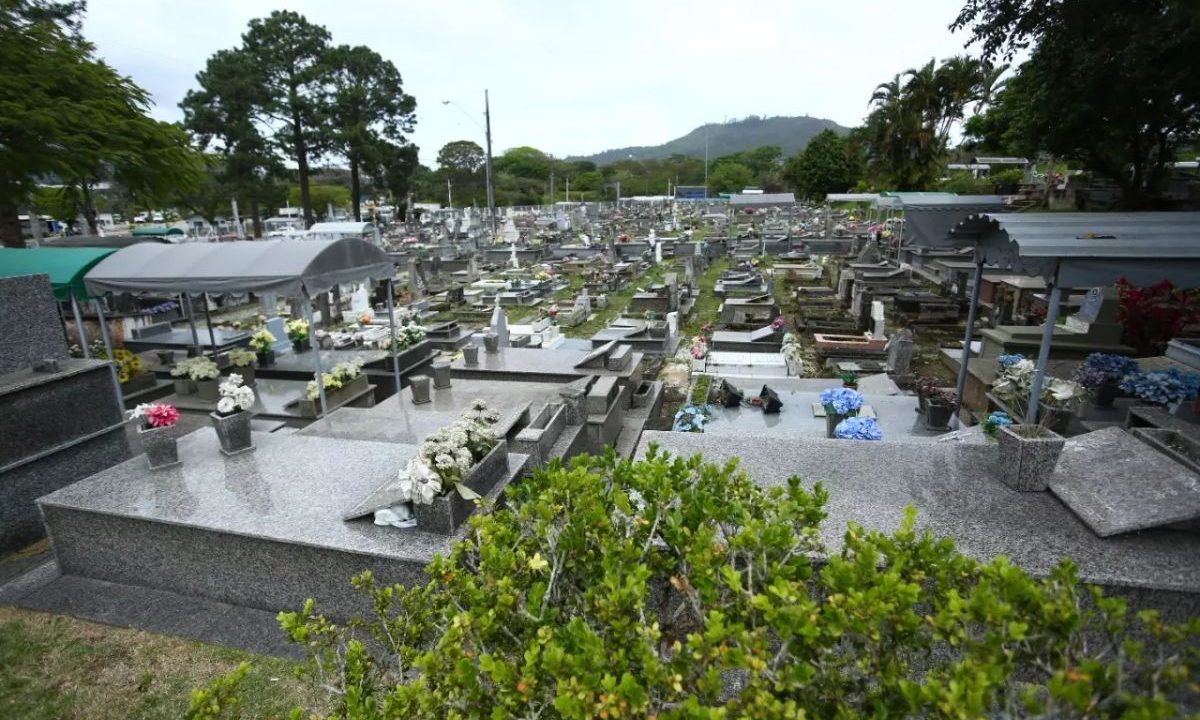 Na imagem aparece um cemitério repleto de flores em um dia nublado com dezenas de túmulos de mármore