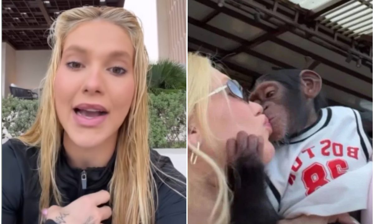 Colagem de dois frames de vídeo da influenciadora Virginia Fonseca, em que ela se desculpa por publicação em que aparecia beijando um macaco.