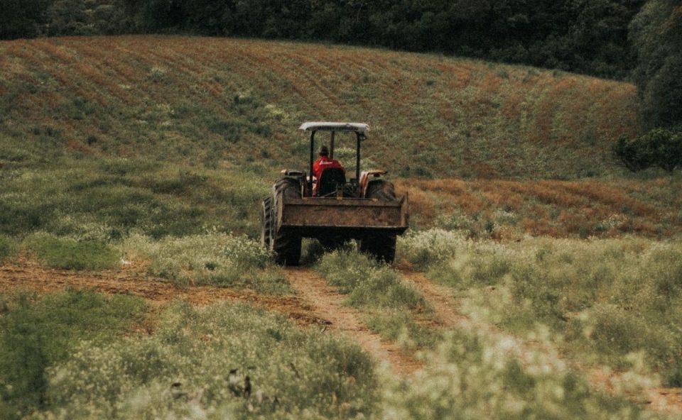 Vista traseira de um trator agrícola vermelho guiado por um operador, transitando por uma estrada de terra em meio a um campo verdejante e uma lavoura em terreno inclinado, ilustrando o trabalho diário e os benefícios econômicos para produtores rurais.
