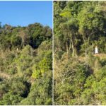 Colagem de dois frames de vídeo com uma figura de branco no Parque Tanguá, lembrando um fantasma.