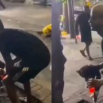 homem arremessando gato video