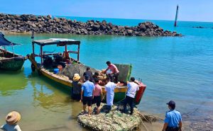 Foto da ilha onde o homem que caiu de penhasco foi resgatado