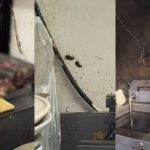 Foto mostra cozinha de lanchonete na Praça Osório interditada