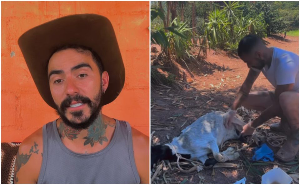 Colagem de imagens do influenciador Mayk Leão, do OVNI, e sua cabra Margarida.