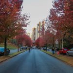 Foto ilustrativa para a previsão do tempo em Curitiba nesta quinta-feira (4). Foto mostra a rua do outono, com flores e folhas em cor vinho.
