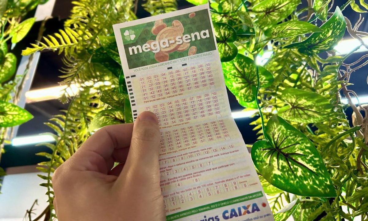 Mão segurando volante da Mega-Sena 3015 em frente à plantas.