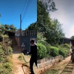Foto montagem mostra o influenciador limpando o jardim de uma viúva em Curitiba. Imagens mostram o local cheio de mato.